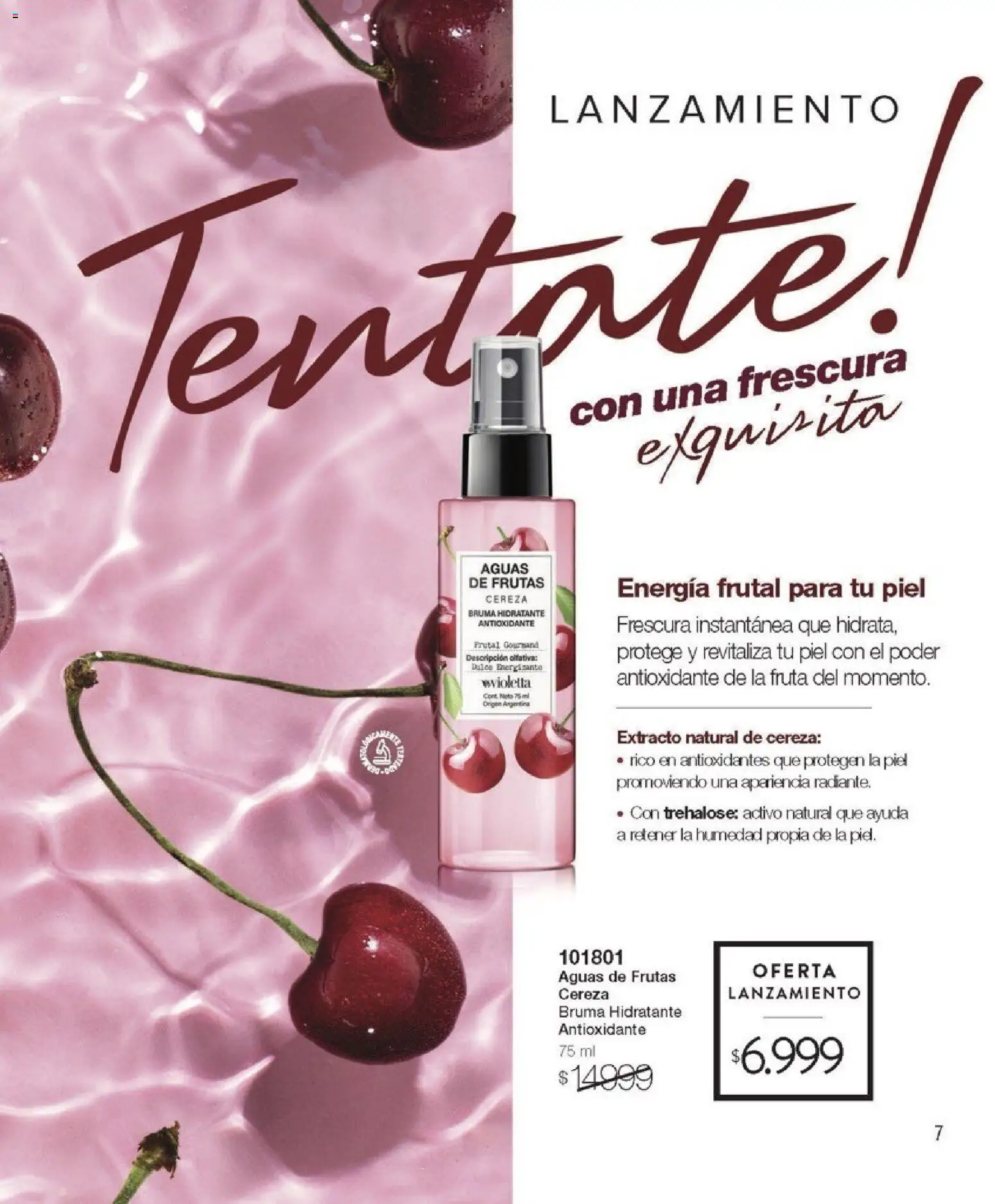 Violetta catálogo │ válido desde el 01.02.2026 | Página: 7 | Productos: Bruma