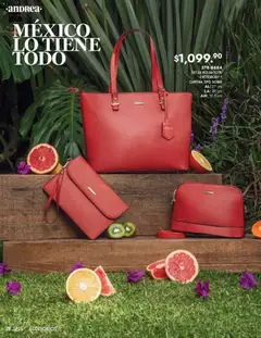 Vista previa de Andrea catálogo Primavera, nuevo folleto de la tienda, válido en México a partir del 25.01.2026 | Página: 28