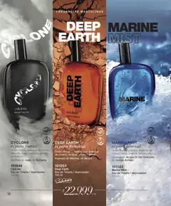 Vista previa Violetta catálogo válido desde el 01.01.2026 | Página: 56 | Productos: Eau de toilette, Nuez, Esencias