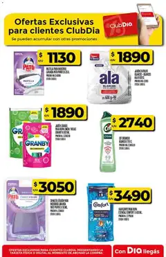 Vista previa Supermercado DIA Ofertas válido desde el 29.10.2025 | Página: 53