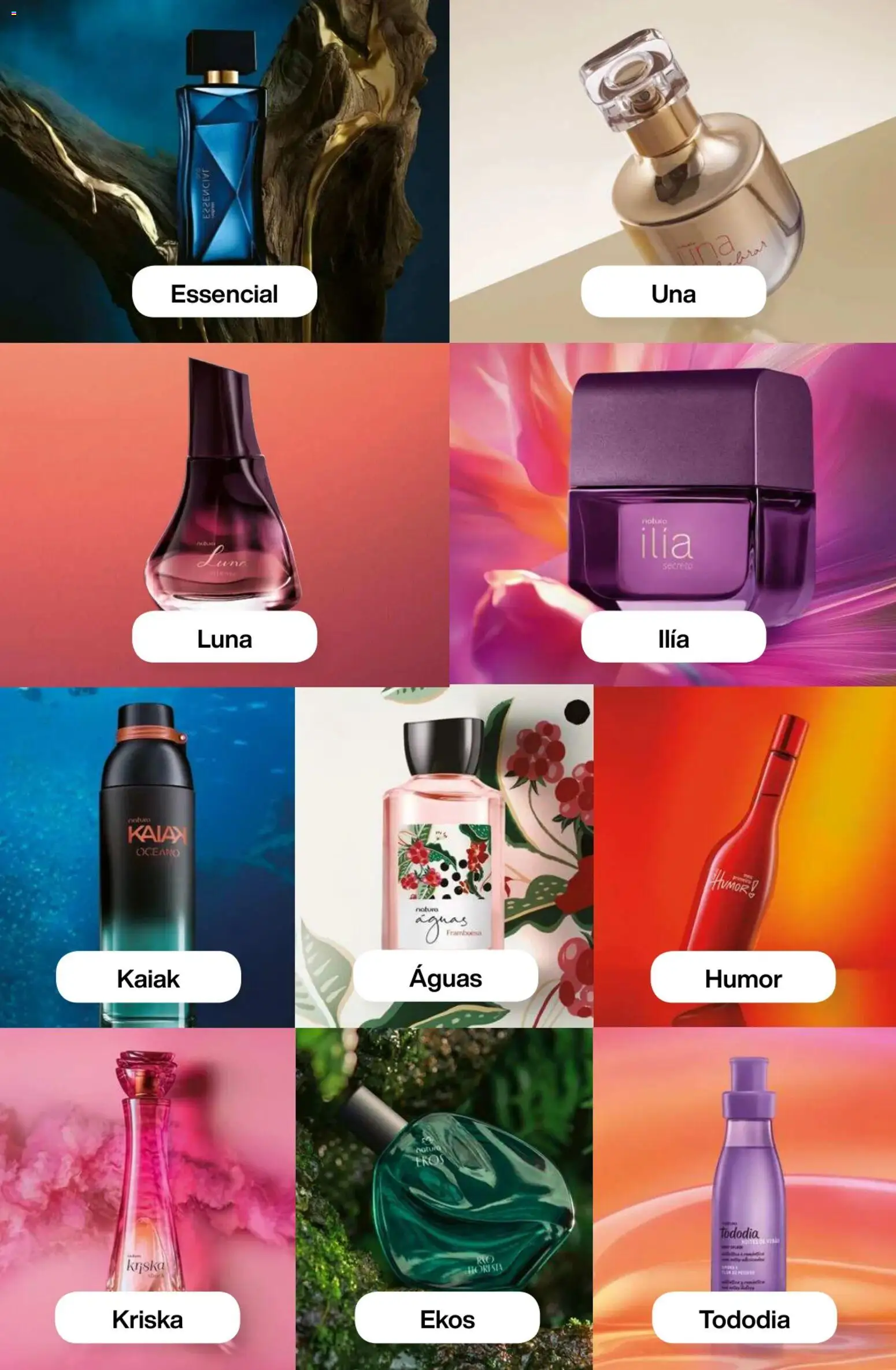 Catálogo Natura Ciclo 1/2026 │ válido desde el 06.01.2026 | Página: 63