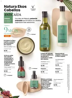 Vista previa de folleto Natura catálogo  - Ciclo 5 de la Natura válido desde 10.03.2026 | Página: 146