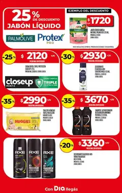 Vista previa Supermercado DIA Ofertas válido desde el 21.01.2026 | Página: 19