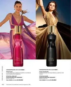 Catálogo L'Bel Campaña 4 válido desde el 15.02.2026 | Página: 104