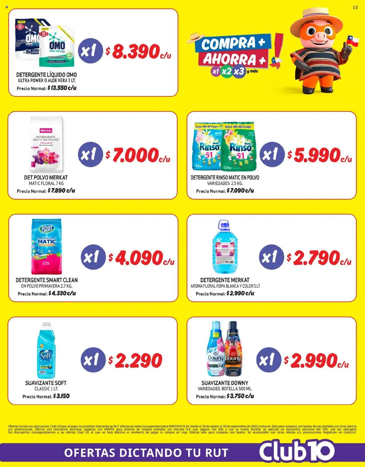 Mayorista 10 Ofertas │ válido desde el 20.08.2025 | Página: 13 | Productos: Bolsa, Polvo, Detergente, Ropa