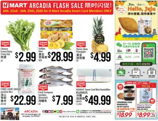 Preview of Hmart weekly ads valid from 28.01.2026