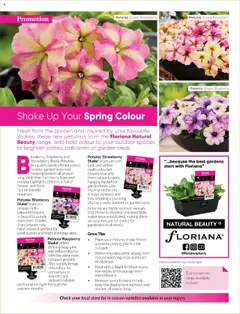 Preview of Catalogue Bunnings Warehouse October - valid from 01.10.2025 | Page: 70 | Products: Plant, Cream, Water, Blender