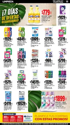 Vista previa Yaguar - Parque Avellaneda válido desde el 03.11.2025 | Página: 15 | Productos: Botella, Banco, Jabón en polvo, Té