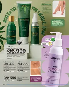 Pacifika - Campaña 19 / 2025 -  Vista previa de la revista de la tienda Pacifika valido desde el 01.11.2025 | Página: 202 | Productos: Crema, Body, Semillas, Desodorante