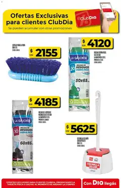 Vista previa Supermercado DIA Ofertas válido desde el 28.01.2026 | Página: 49 | Productos: Baño, Cepillo, Ropa, Escobilla