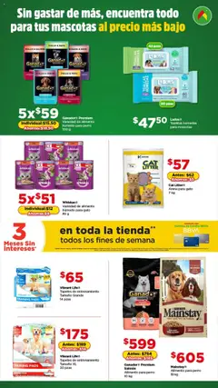 Vista previa de Bodega Aurrerá - Folleto Mascota y bolsillo feliz, nuevo folleto de la tienda, válido en México a partir del 17.09.2025