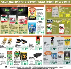 Preview of Menards weekly ads valid from 08.10.2025 | Page: 14 | Products: Peppermint, Tamper, Carpet, Mouse