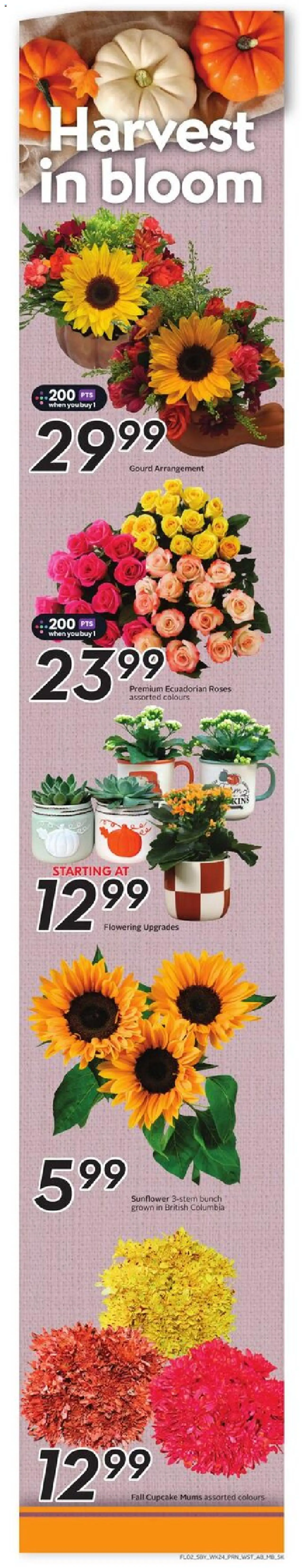 Safeway flyer valid from 09.10.2025 | Page: 3