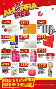 Supermercado DIA Ofertas │ válido desde el 10.09.2025 | Página: 51 | Productos: Trapo de piso, Shampoo, Acondicionador, Limpiador