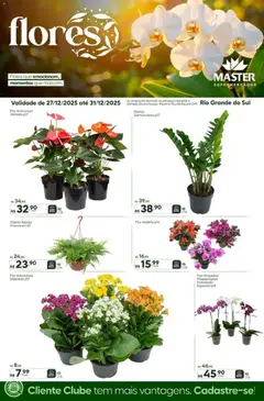 Master - Ofertas Flores - Pré-Visualização do folheto da loja Master, válido de 27.12.2025