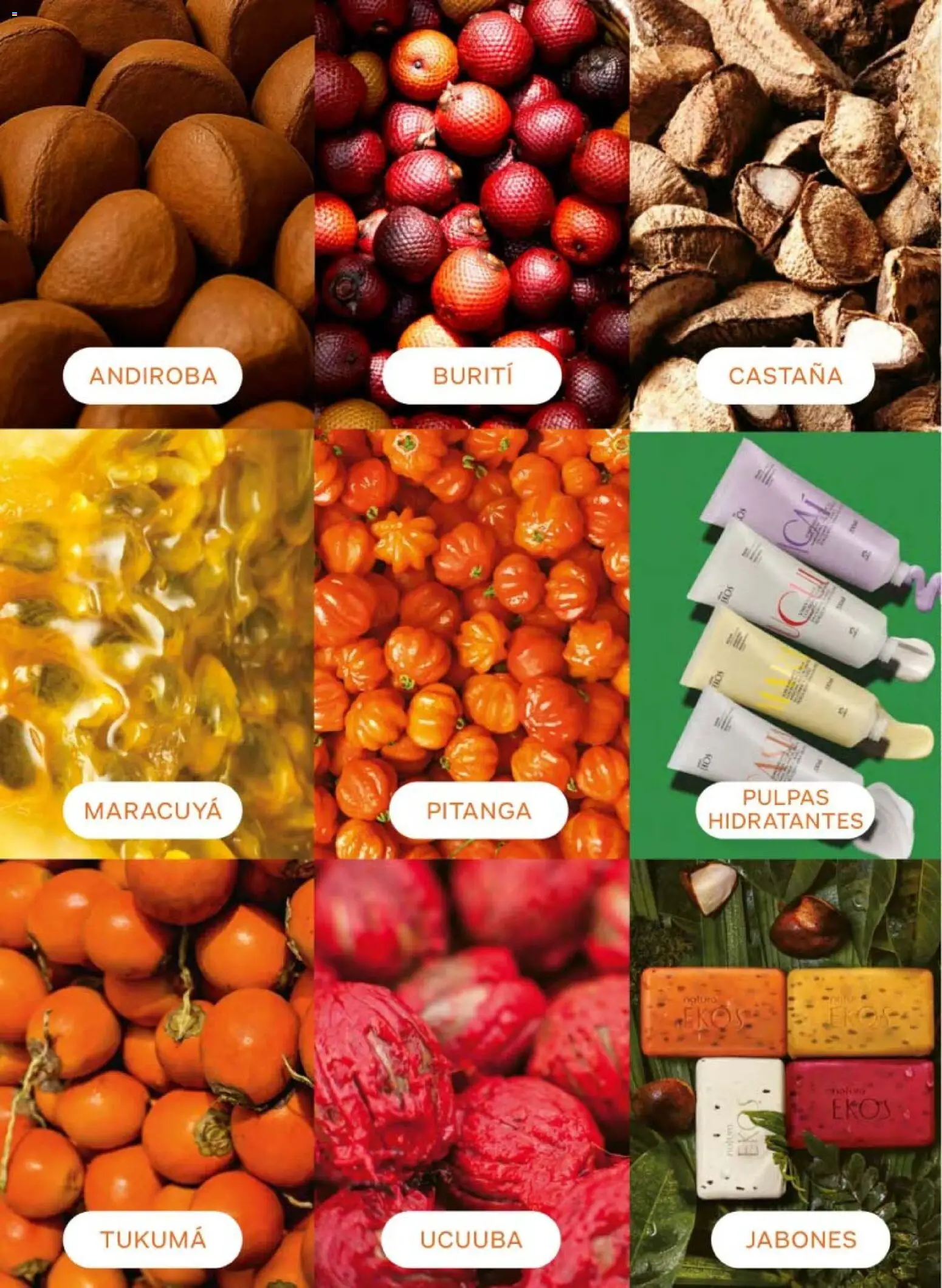 Nuevas ofertas de Natura válidas en toda la República Mexicana desde el 20.02.2026. ¡Encuentra las mejores ofertas en Natura campaña 4 2026! | Página: 86