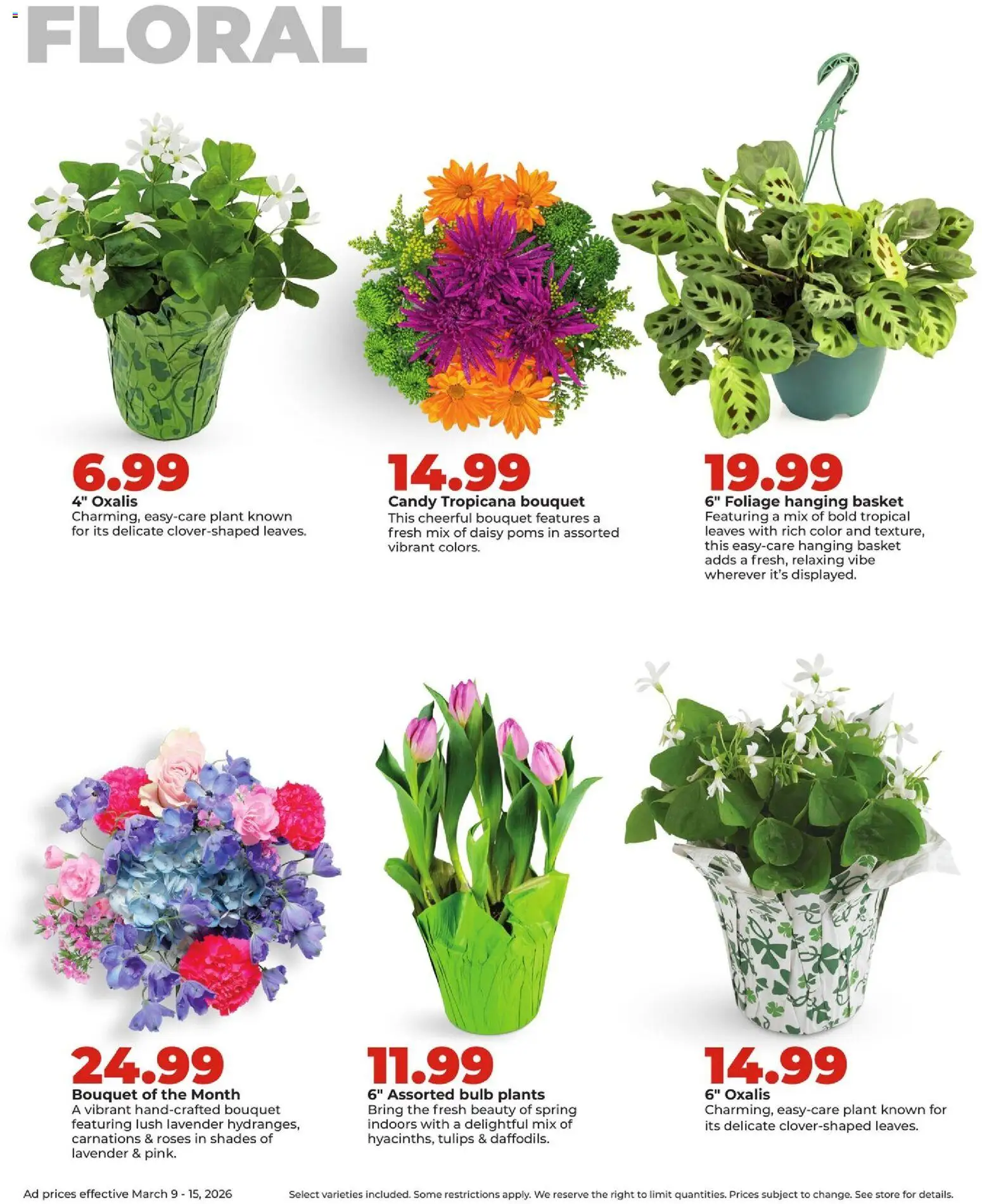 HyVee Weekly Ad - valid from 09.03.2026 | Page: 36 | Products: Basket