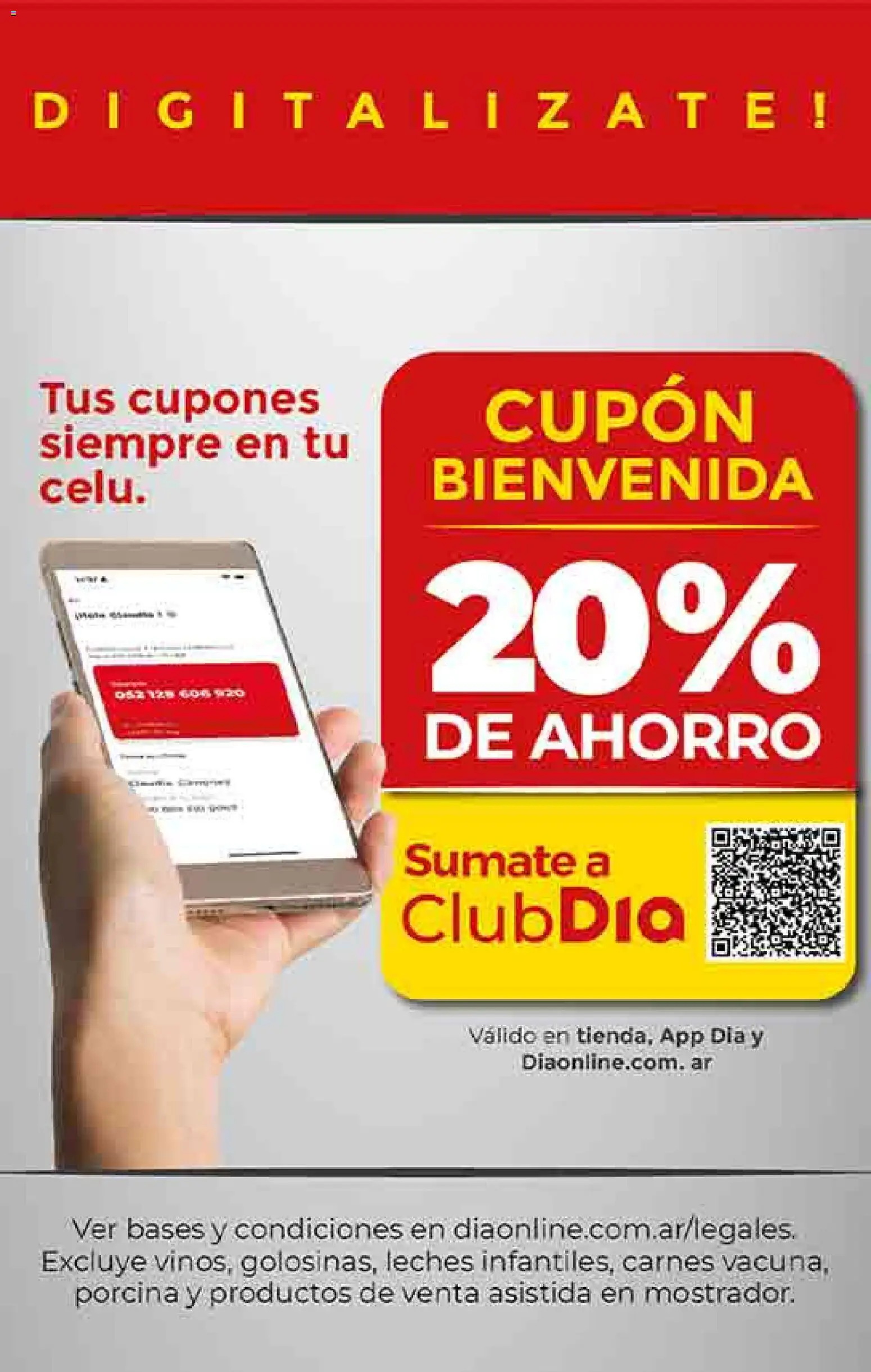 Dia - Ofertas - Salta y Jujuy │ válido desde el 19.11.2025 | Página: 23