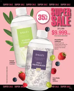 Vista previa Bagués - Catálogo válido desde el 09.03.2026 | Página: 49 | Productos: Sal, Uva, Té