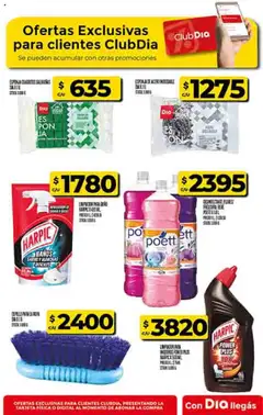 Dia - Ofertas - Salta y Jujuy │ válido desde el 17.09.2025 | Página: 67 | Productos: Desinfectante, Esponja