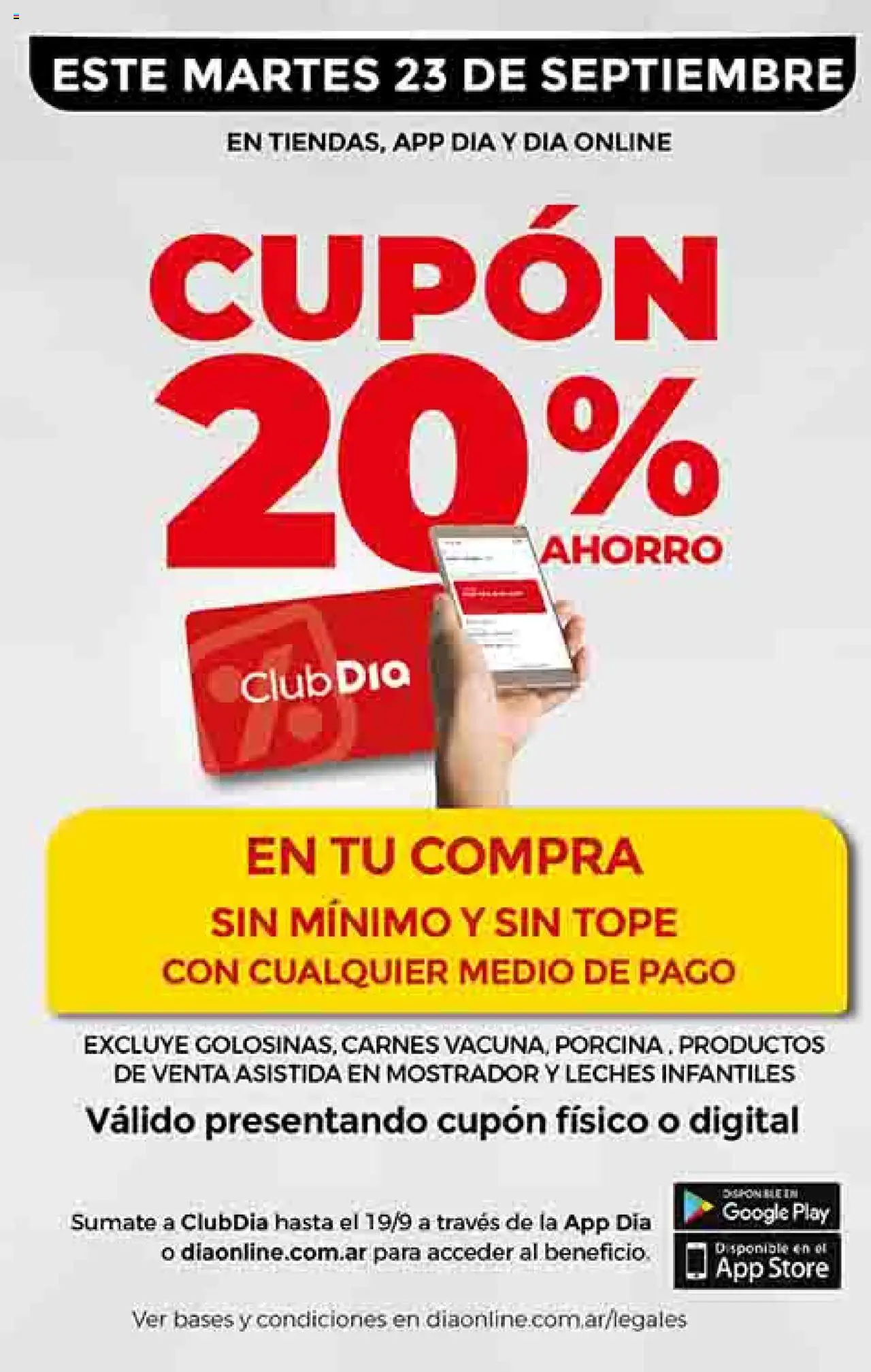 Dia - Ofertas - Salta y Jujuy │ válido desde el 17.09.2025 | Página: 17