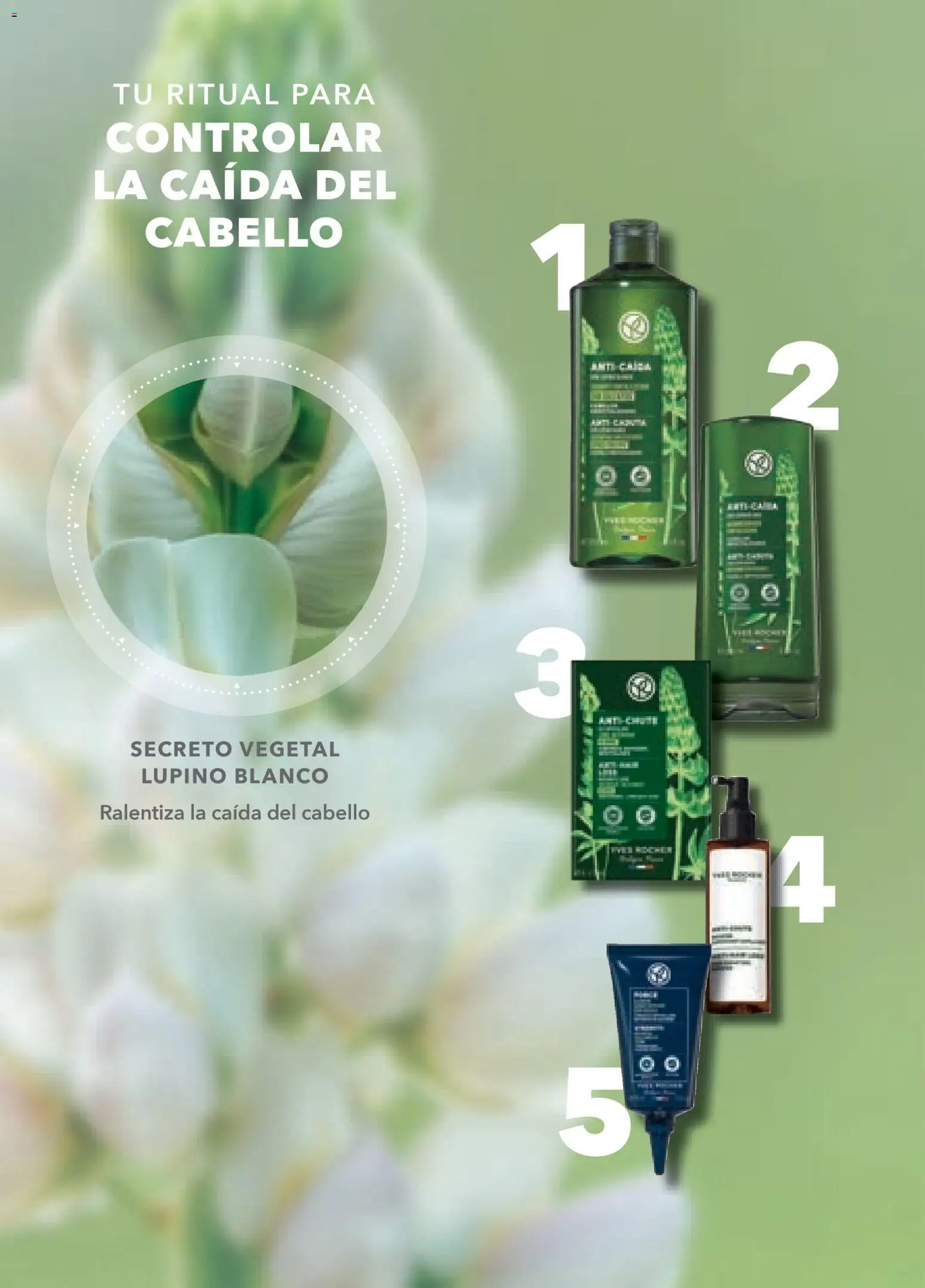 Nuevas ofertas de Yves Rocher válidas en toda la República Mexicana desde el 19.11.2025. ¡Encuentra las mejores ofertas en Yves Rocher campaña 16 2025! | Página: 50