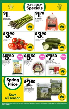 Preview of Weekly catalogue Woolworths NSW 20/10 - valid from 22.10.2025 | Page: 14