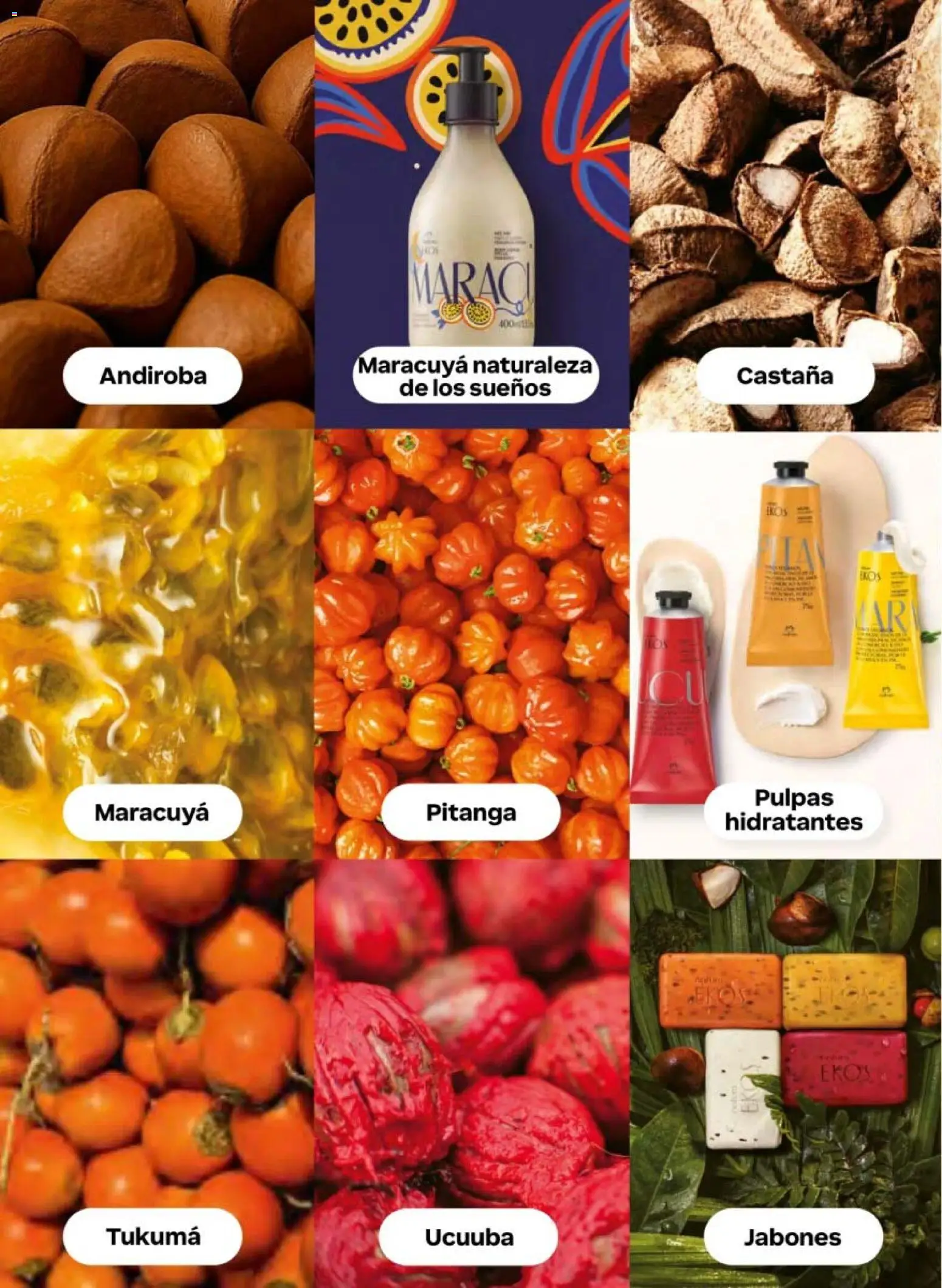 Nuevas ofertas de Natura válidas en toda la República Mexicana desde el 10.01.2026. ¡Encuentra las mejores ofertas en Natura campaña 2 2026! | Página: 118