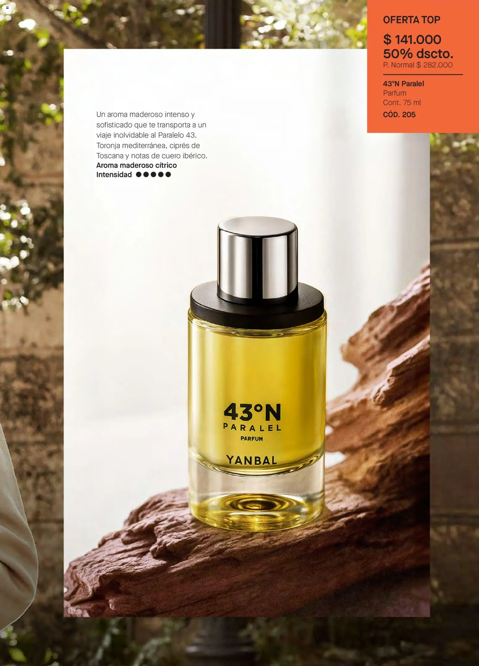 Yanbal revista - valida desde el 28.02.2026 | Página: 115 | Productos: Té, Top, Toronja