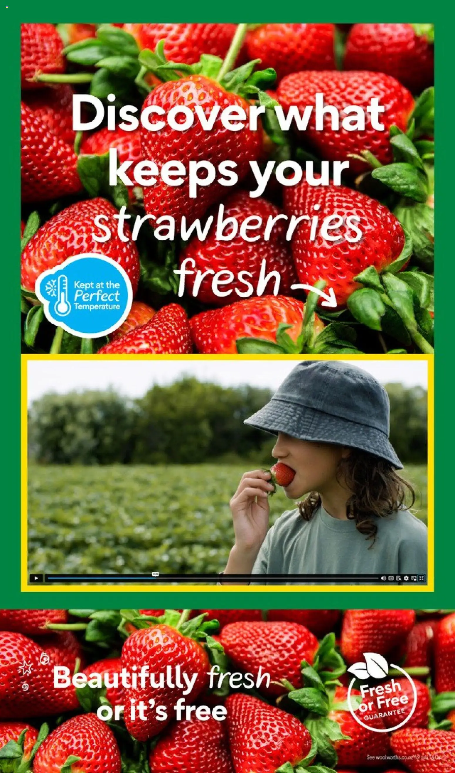 Woolworths catalogue from 01.12.2025 | Page: 6