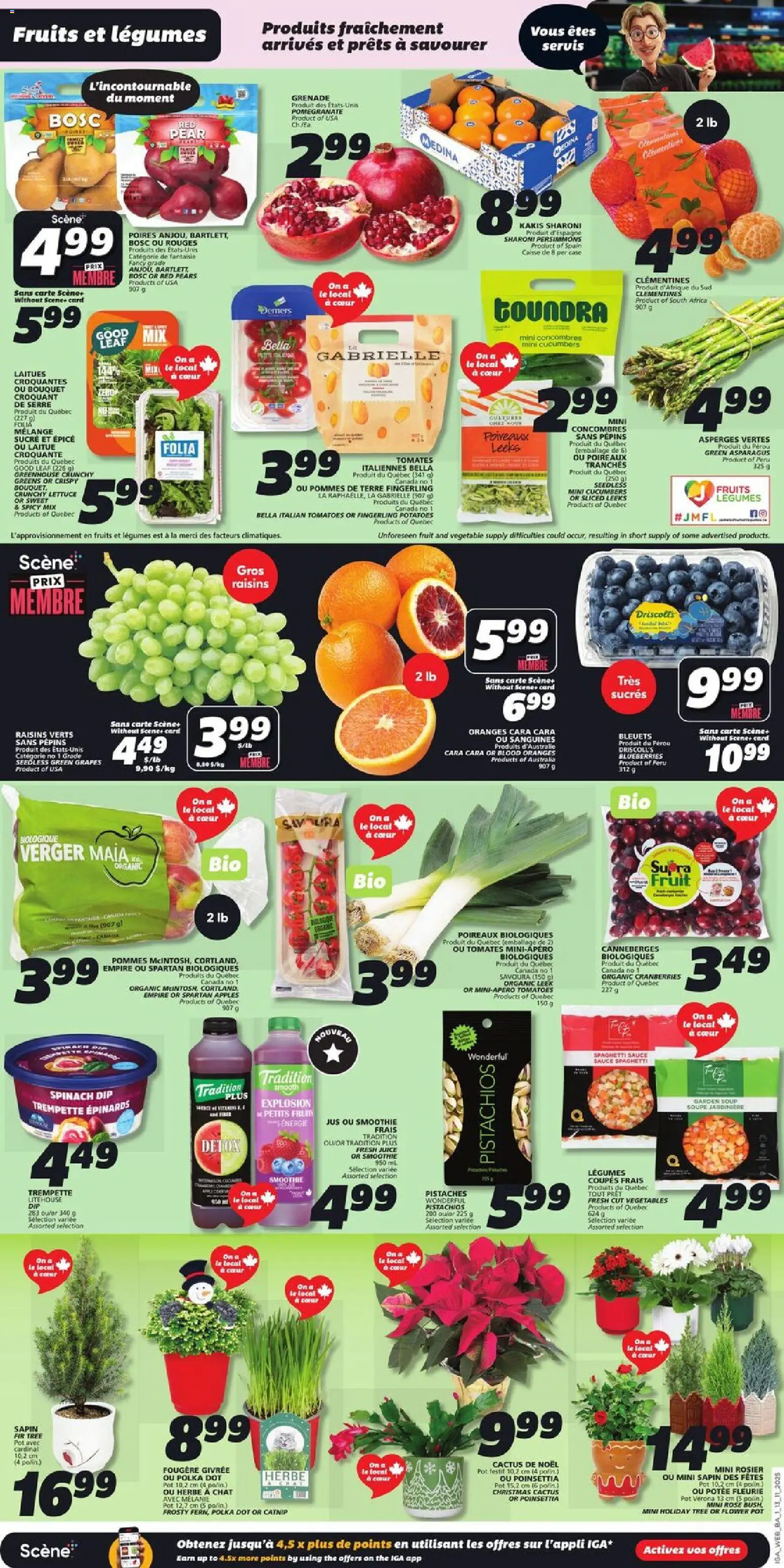 IGA flyer valid from 13.11.2025 | Page: 3 | Products: Case, Juice, Apples, Tomatoes