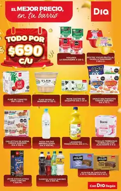 Vista previa Supermercado DIA Ofertas válido desde el 12.11.2025 | Página: 5