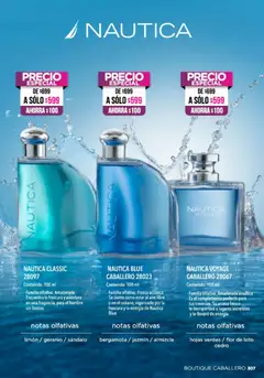 Vista previa de Ilusión catálogo Primavera, nuevo folleto de la tienda, válido en México a partir del 01.04.2026 | Página: 309 | Productos: Limón, Té