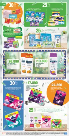 Jumbo - Catálogo Aniversario -  Vista previa de la revista de la tienda Jumbo valido desde el 25.09.2025 | Página: 24