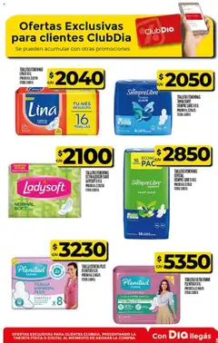 Vista previa Supermercado DIA Ofertas - Salta y Jujuy válido desde el 08.10.2025 | Página: 50 | Productos: Toalla, Malla, Toallas, Toallitas femeninas