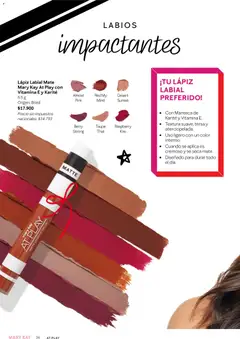 Vista previa Mary Kay catálogo válido desde el 03.12.2025 | Página: 36 | Productos: Mate, Lápiz labial, Manteca