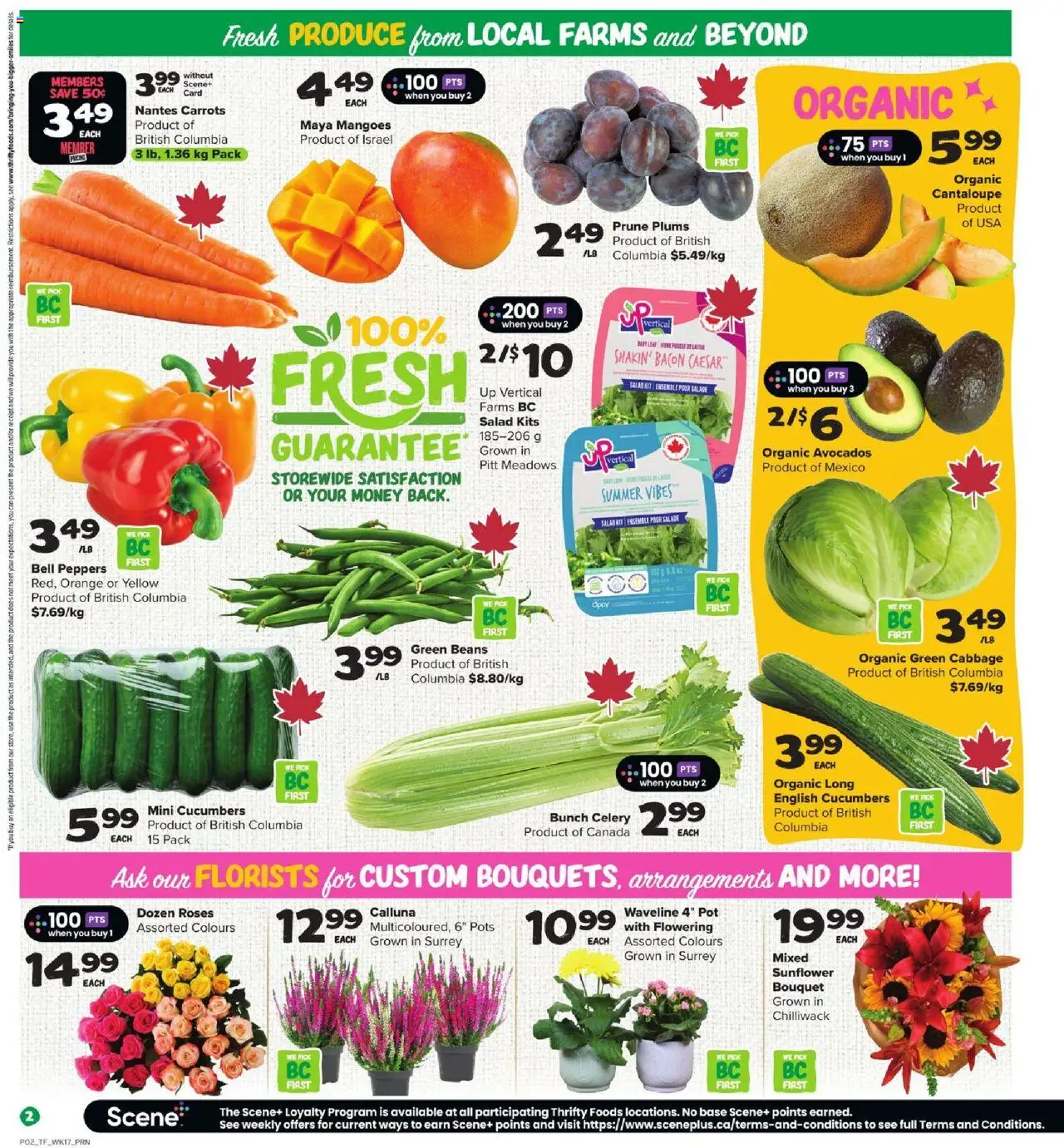 Thrifty Foods flyer valid from 21.08.2025 | Page: 4 | Products: Cucumbers, Salad