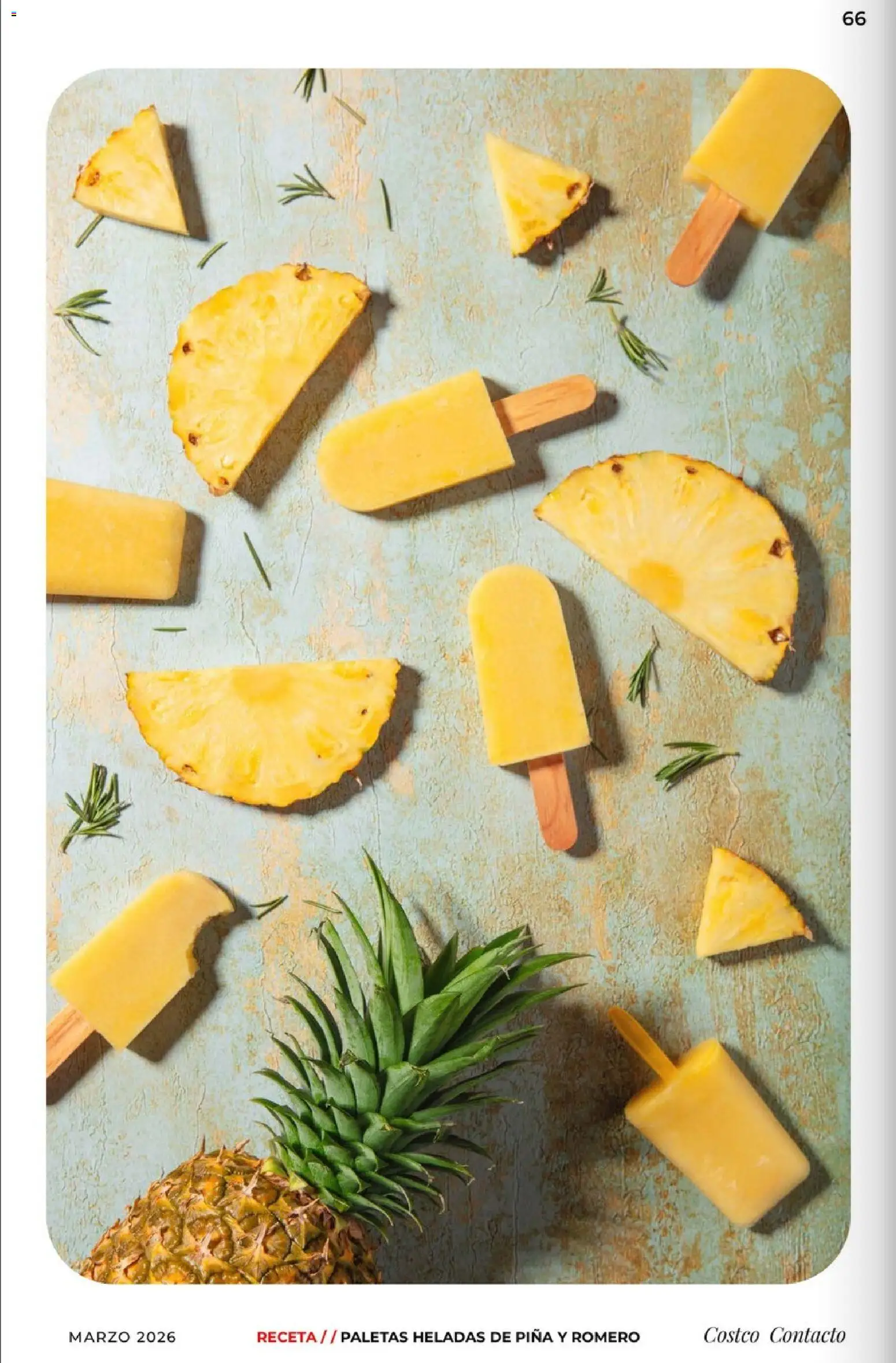 Nuevas ofertas de Costco válidas en toda la República Mexicana desde el 01.03.2026. ¡Encuentra las mejores ofertas en Costco Revista de marzo! | Página: 66 | Productos: Piña