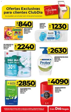 Supermercado DIA Ofertas │ válido desde el 20.08.2025 | Página: 53 | Productos: Papel higiénico, Algodón, Jabón, Desodorante