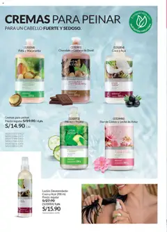 Catálogo Avon válido desde 29.08.2025 | Página: 155 | Productos: Leche, Chocolate, Arroz, Crema