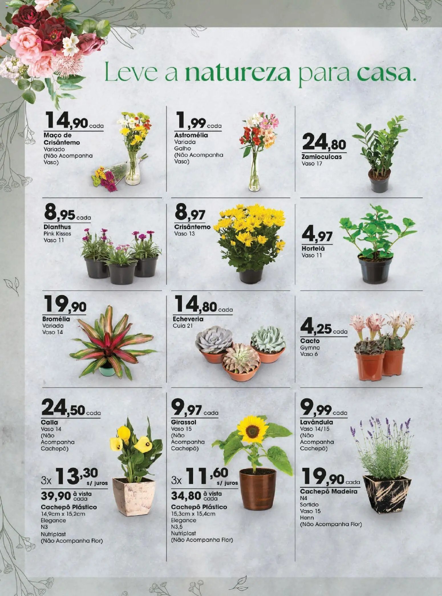 Zaffari Folheto - válido de 05.02.2026 | Página: 10