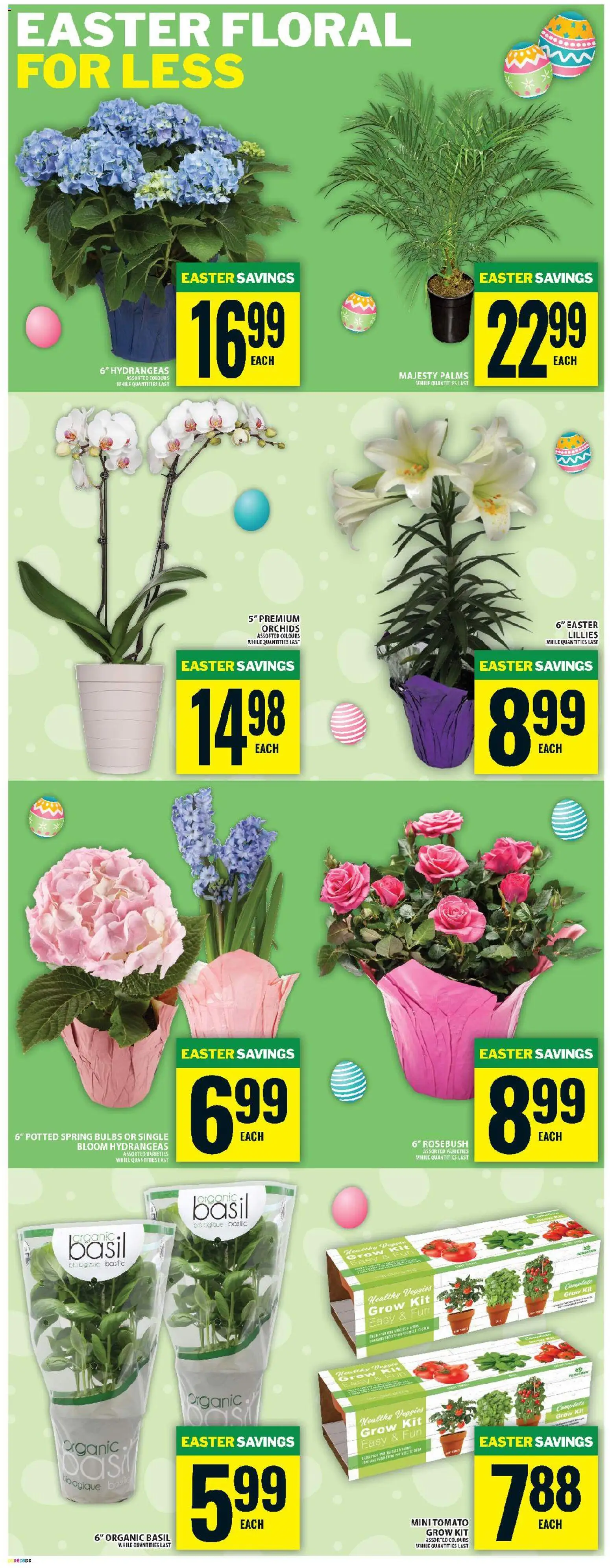 Food Basics flyer valid from 26.03.2026 | Page: 10