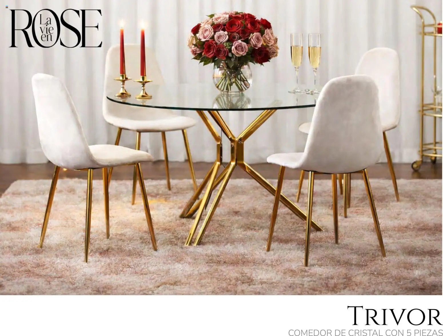 Nuevas ofertas de Muebles Dico válidas en toda la República Mexicana desde el 06.02.2026. ¡Encuentra las mejores ofertas en Muebles Dico catálogo La Vie en Rose 2026 ! | Página: 10