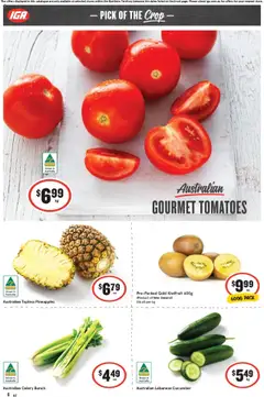 Preview of IGA Catalogue NT - valid from 22.10.2025 | Page: 6