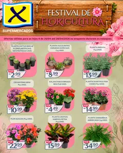 X Supermercados ofertas Festival de Floricultura - Pré-Visualização do folheto da loja X Supermercados, válido de 25.04.2026