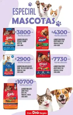 Vista previa Supermercado DIA Ofertas válido desde el 18.02.2026 | Página: 13