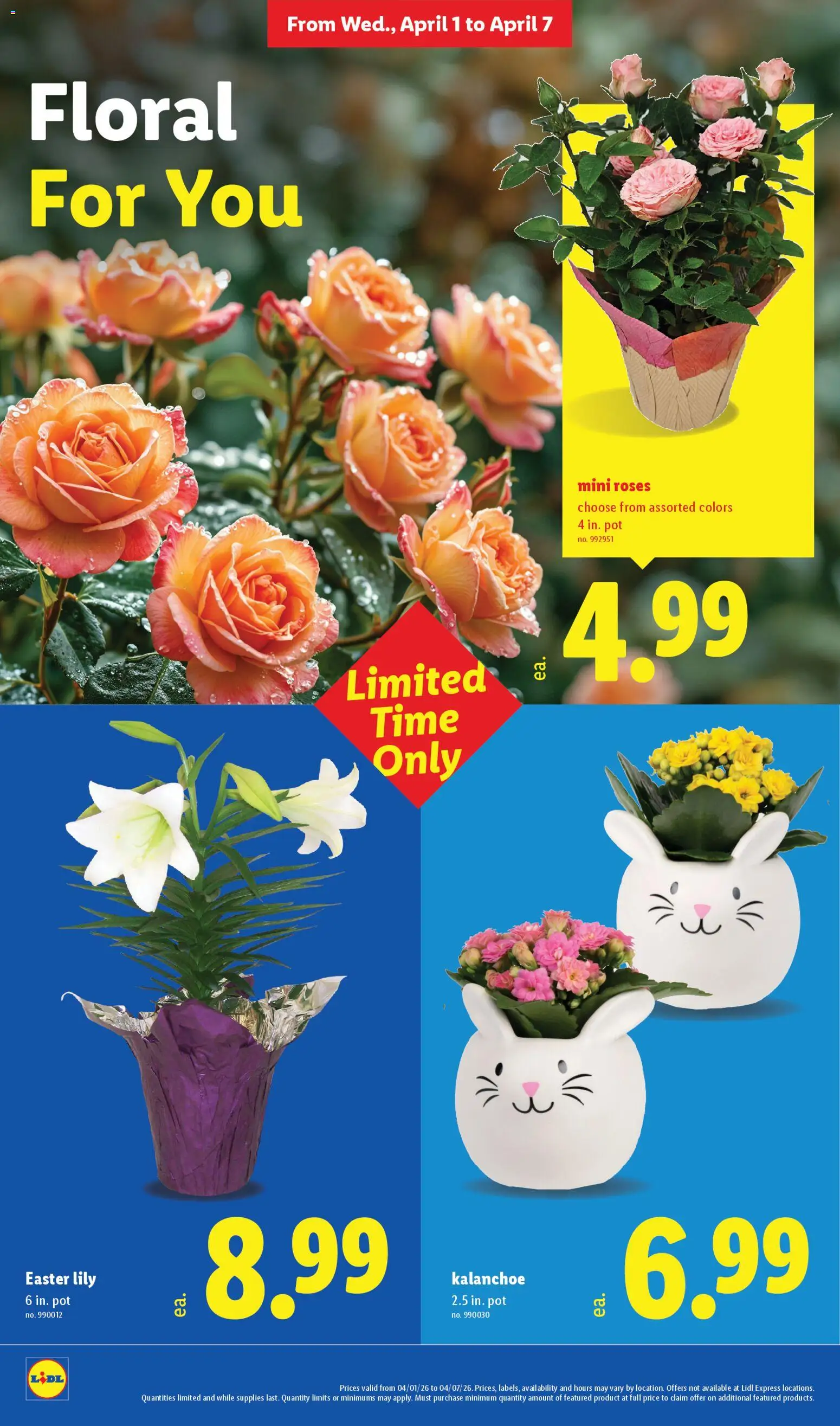 Lidl Weekly Ad - valid from 01.04.2026 | Page: 24