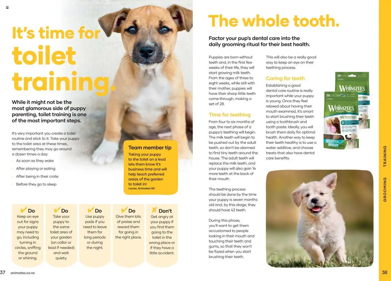 Animates catalogue from 01.01.2024 | Page: 20