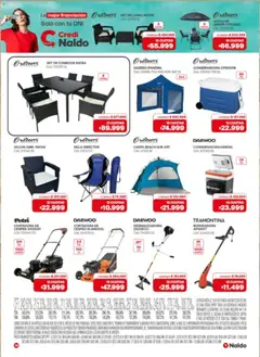 Vista previa Naldo catálogo válido desde el 02.01.2026 | Página: 14