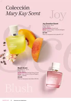 Vista previa Mary Kay - Look Digital Otoño 2026 válido desde el 01.04.2026 | Página: 66 | Productos: Durazno, Aceite